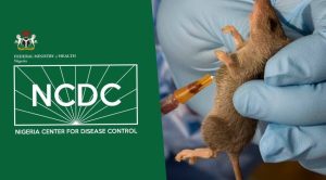 NCDC don issue alert as Meningitis and Lassa Fever cases don rise nationwide