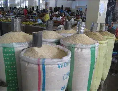 Rice